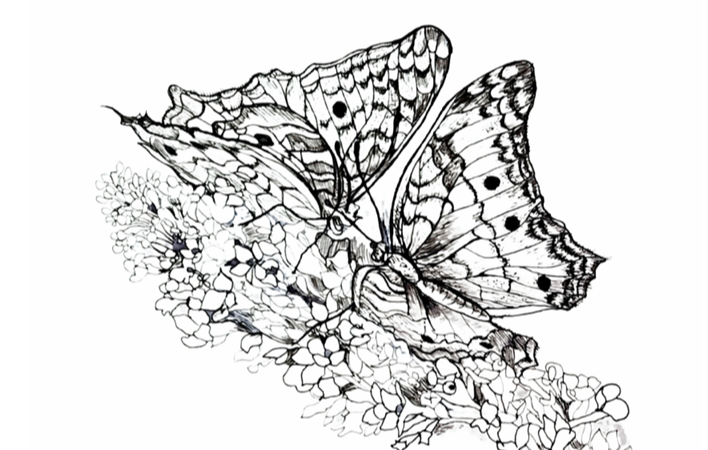 스크린샷 2025-10-28 143328.png