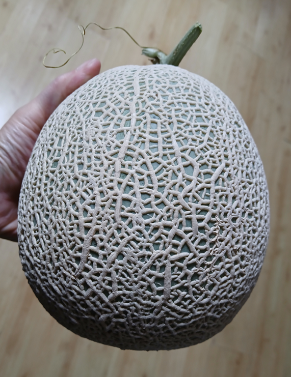 스크린샷 2025-09-25 110716.png