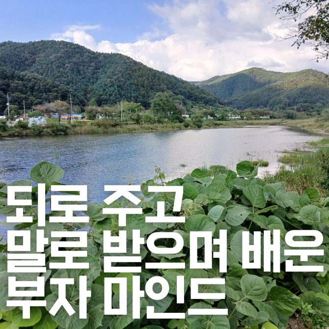 프리미엄 썸네일(작은) (43).png