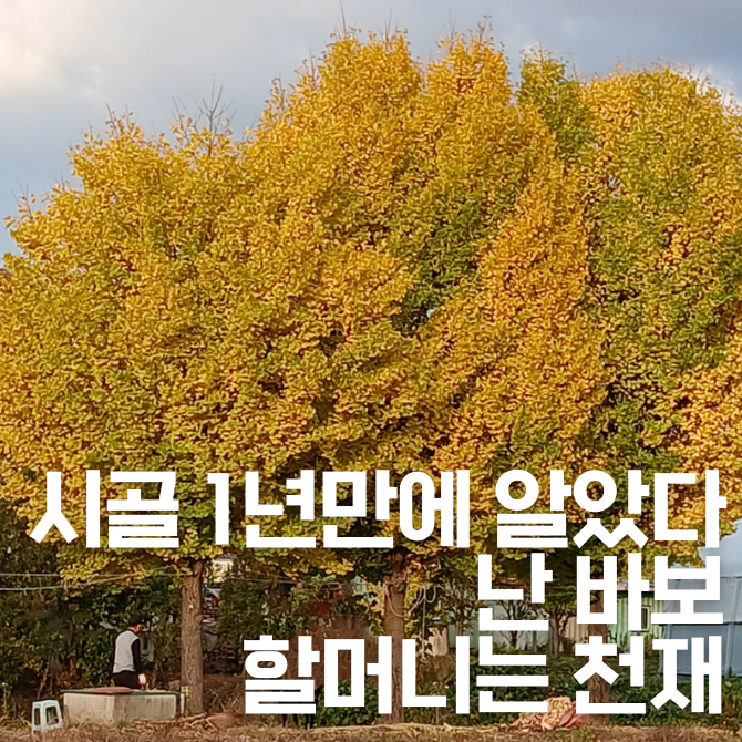 프리미엄 썸네일(작은) (18).png