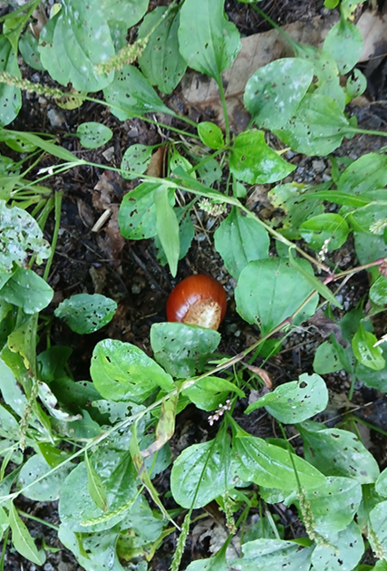 스크린샷 2025-09-14 125239.png