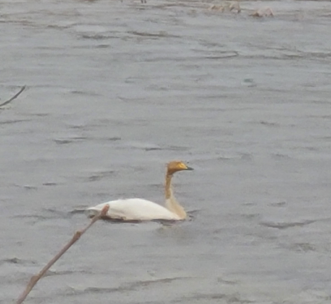 스크린샷 2025-11-20 093503.png