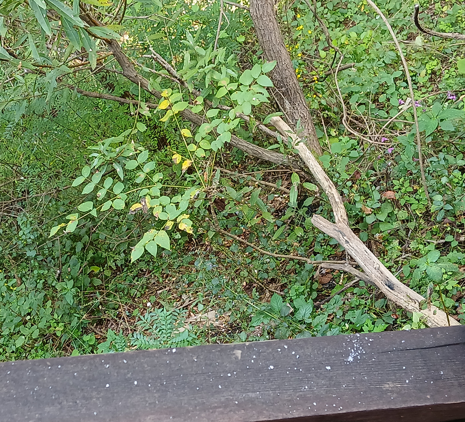 스크린샷 2025-10-02 145142.png