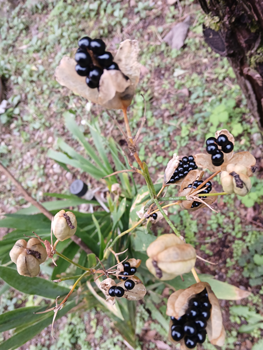 스크린샷 2025-10-15 202558.png