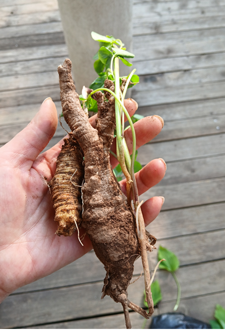 스크린샷 2025-09-14 132214.png