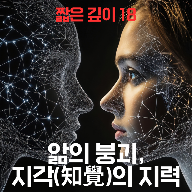 프리미엄 썸네일(작은) (87).png