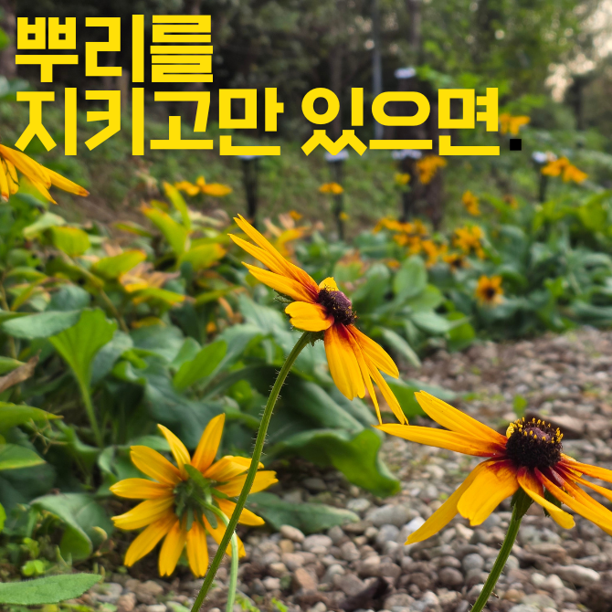 프리미엄 썸네일(작은) (20).png