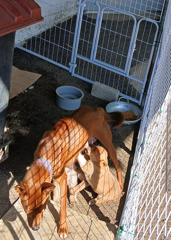 스크린샷 2025-11-12 140500.png