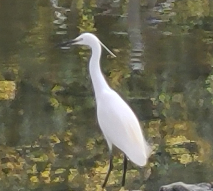 스크린샷 2025-11-20 093520.png