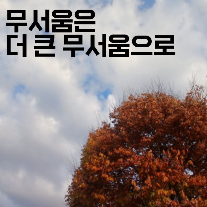 프리미엄 썸네일(작은) (41).png