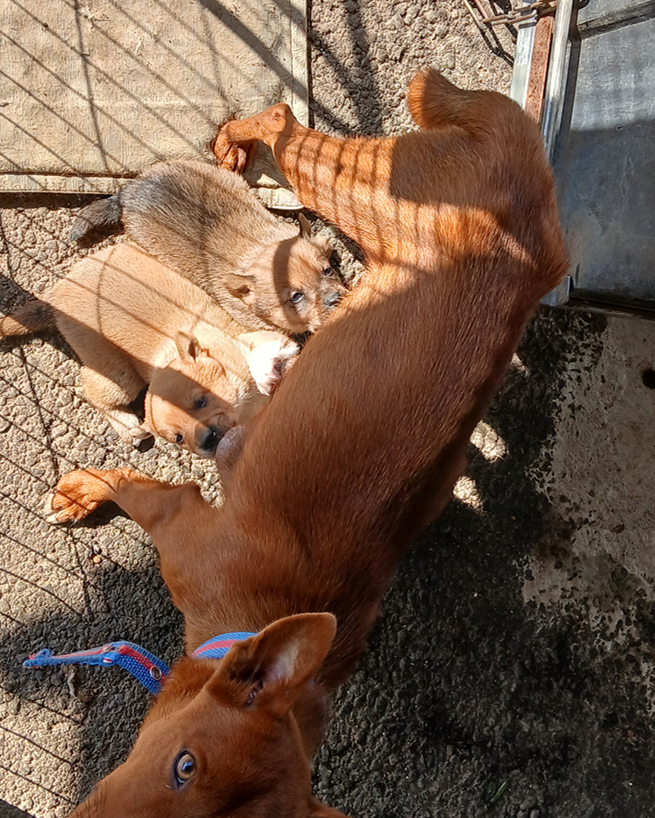 스크린샷 2025-11-12 140445.png