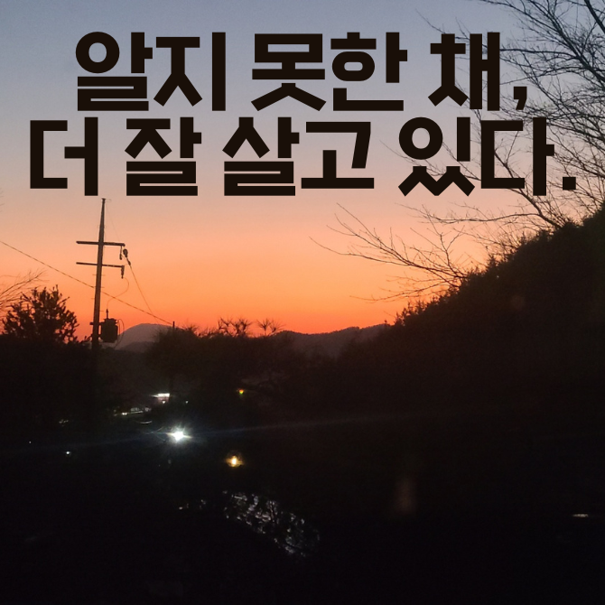 프리미엄 썸네일(작은) (94).png