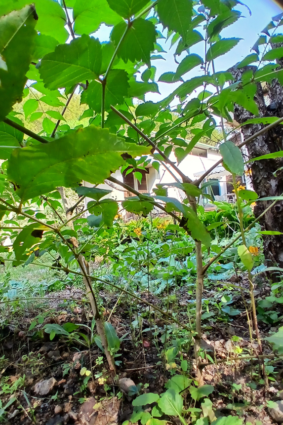 스크린샷 2025-10-02 144802.png