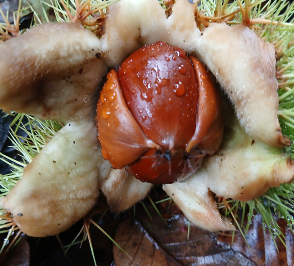 스크린샷 2025-09-25 105458.png