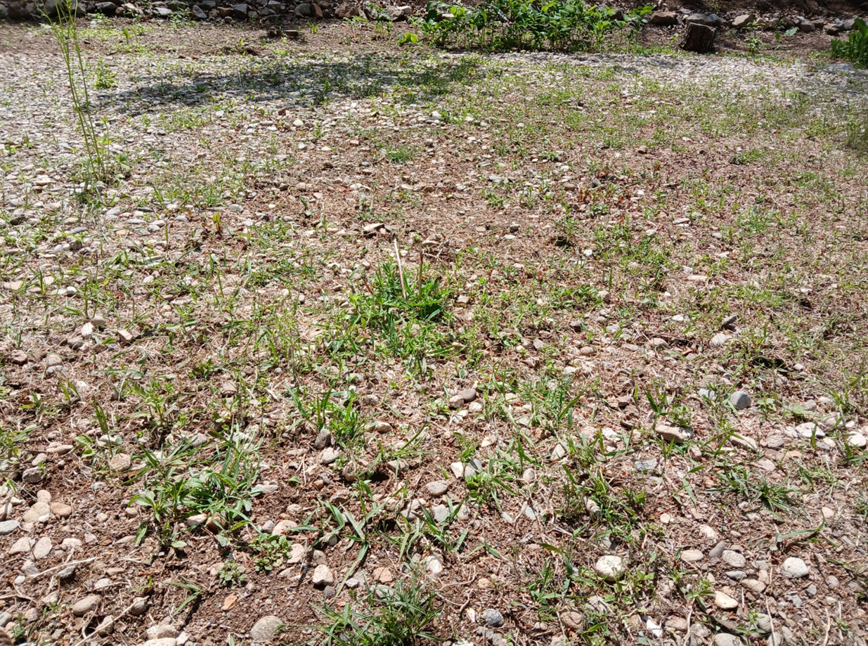 스크린샷 2025-05-02 112729.png