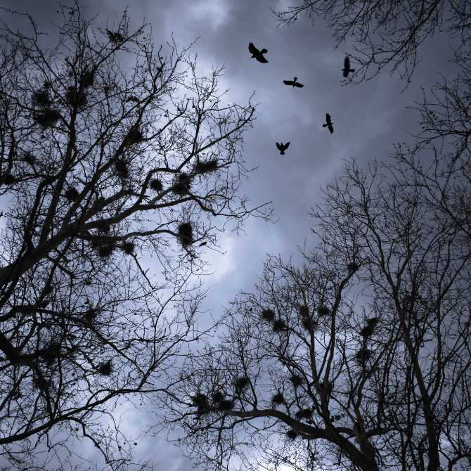 프리미엄 썸네일(작은) (74).png