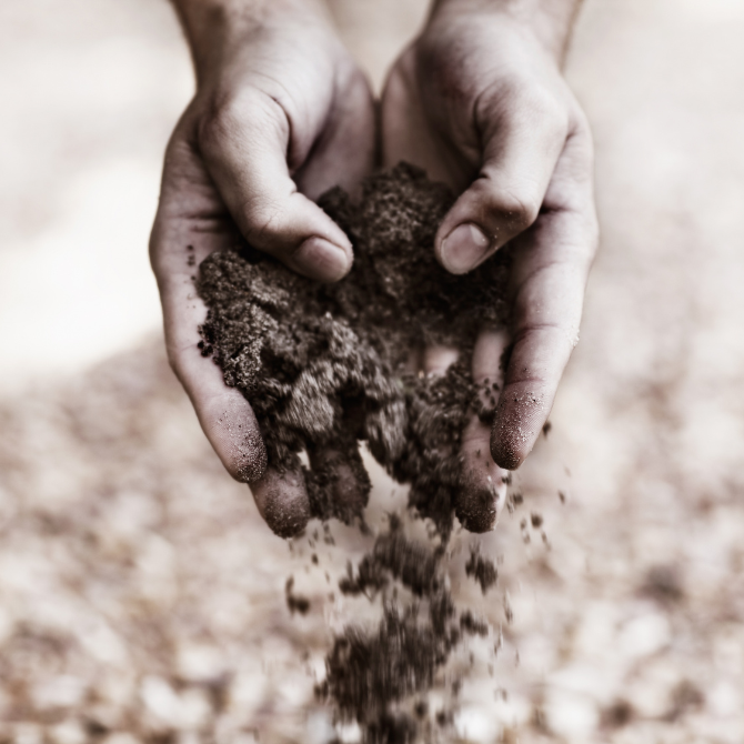 프리미엄 썸네일(작은) - 2026-01-19T084749.278.png