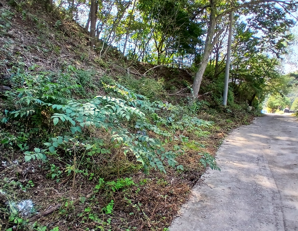 스크린샷 2025-10-02 145032.png