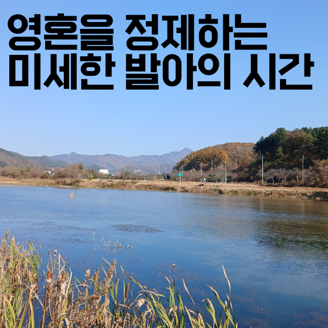프리미엄 썸네일(작은) (63).png