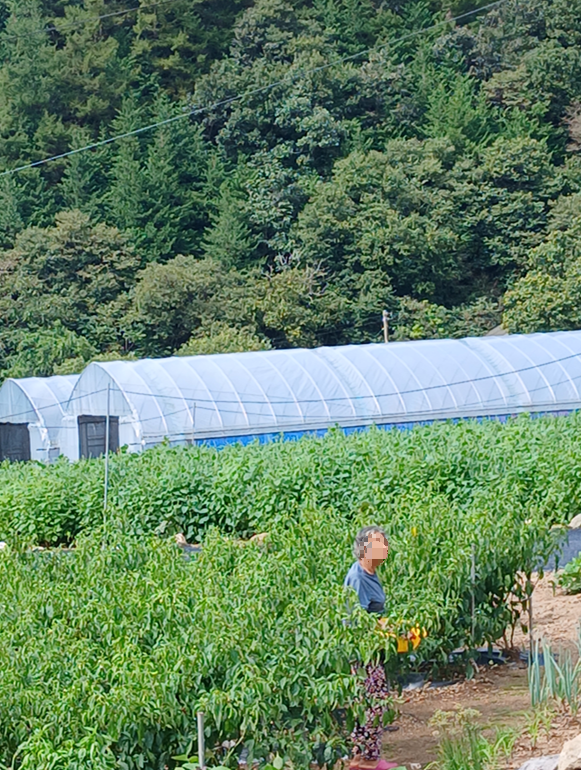 스크린샷 2025-09-25 112201.png