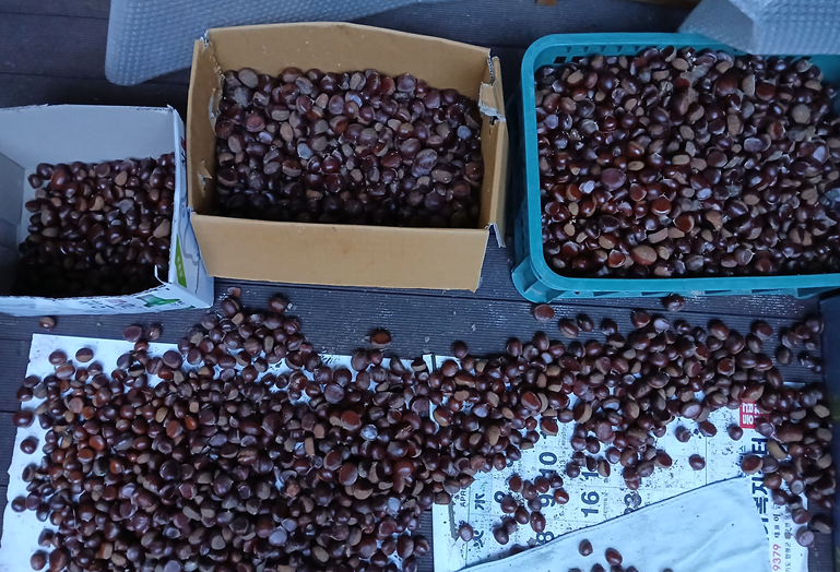 스크린샷 2025-10-17 114633.png