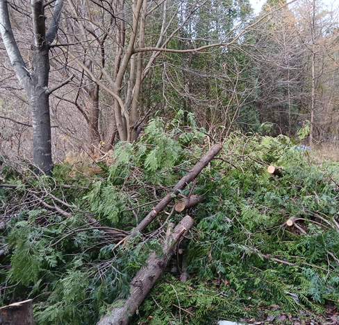 스크린샷 2025-10-30 182650.png