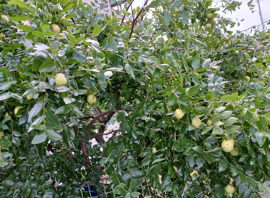 스크린샷 2025-09-14 132749.png