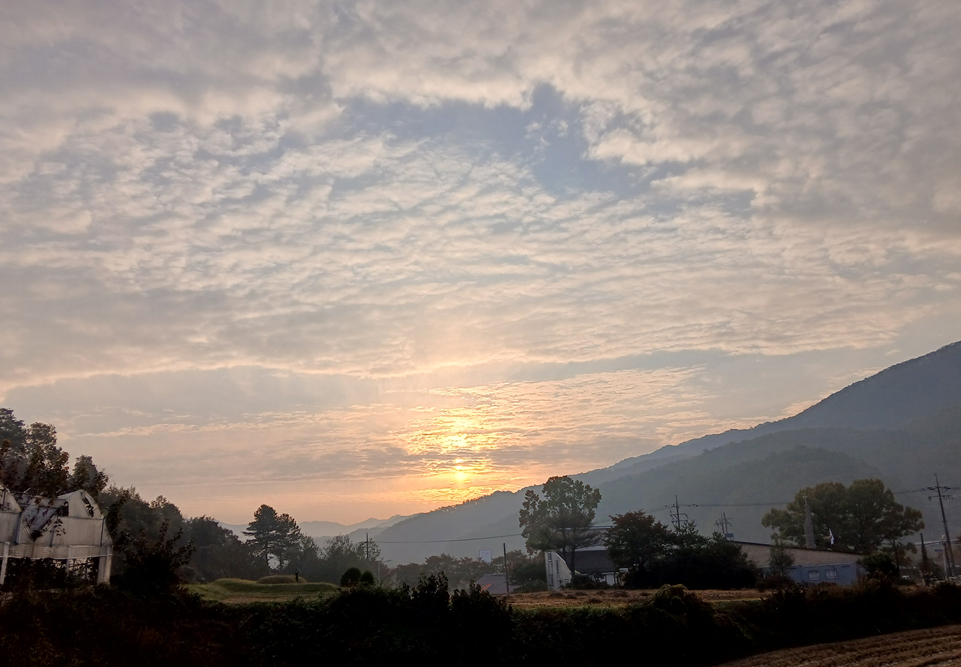 스크린샷 2025-11-06 113528.png