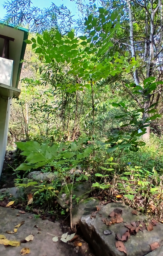 스크린샷 2025-10-02 145107.png