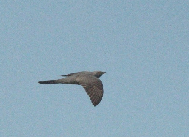 스크린샷 2025-11-20 093729.png