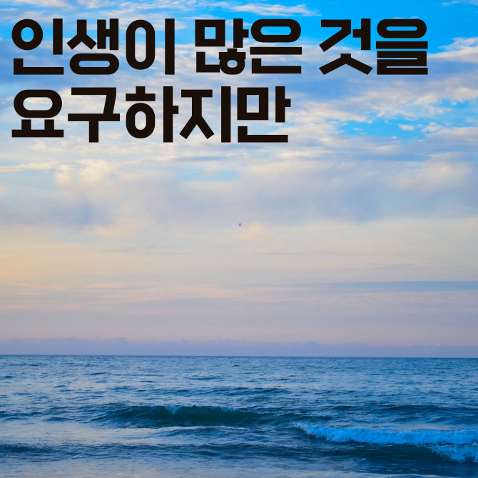 프리미엄 썸네일(작은) (5).png