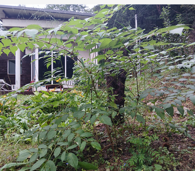 스크린샷 2025-09-18 091029.png