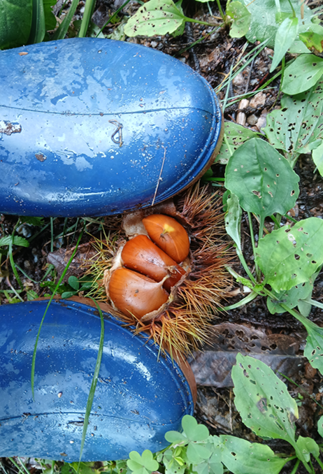 스크린샷 2025-09-14 122421.png