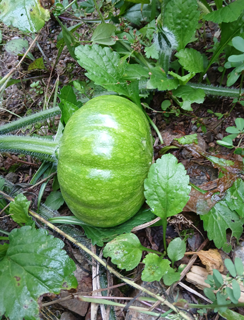 스크린샷 2025-09-16 081356.png