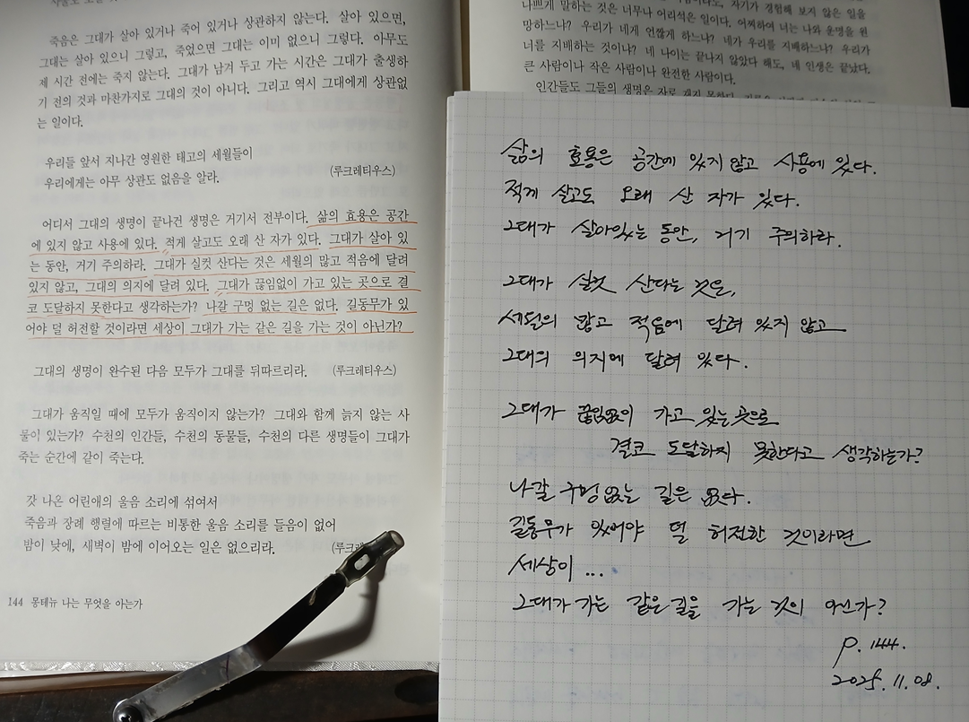 스크린샷 2025-11-08 054900.png