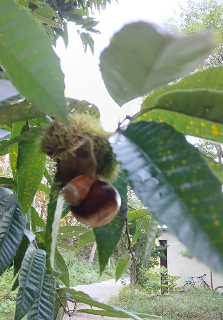 스크린샷 2025-09-14 122256.png