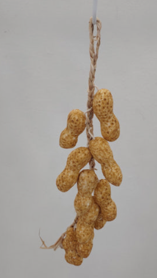 스크린샷 2025-05-24 045535.png