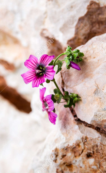 스크린샷 2025-11-28 183222.png