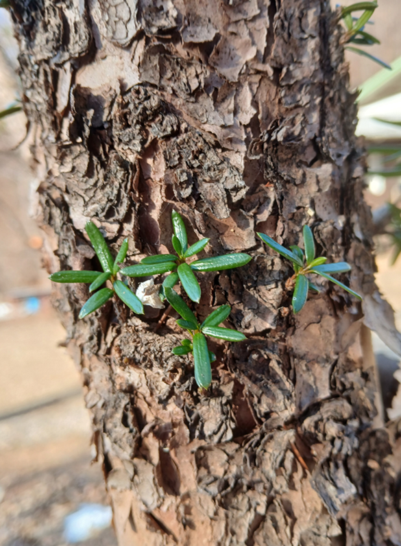 스크린샷 2025-10-30 182719.png