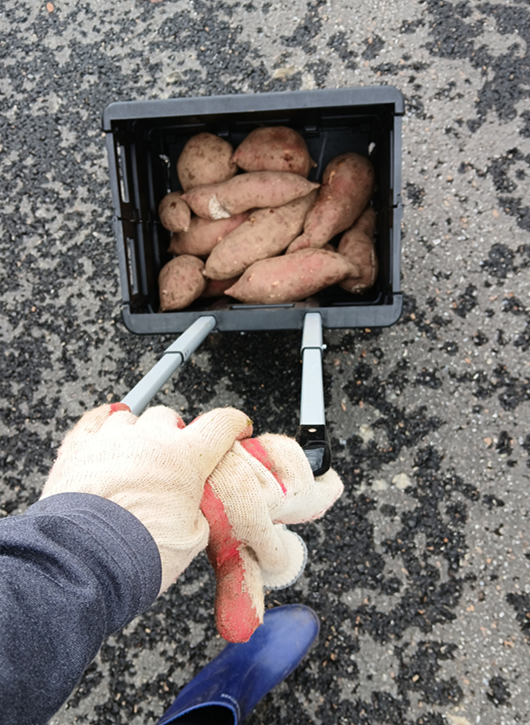 스크린샷 2025-11-06 114106.png