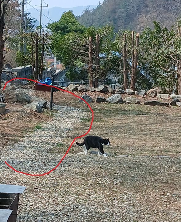 스크린샷 2025-10-29 205147.png