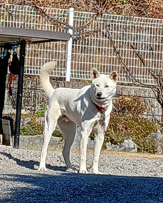 스크린샷 2025-11-12 140405.png