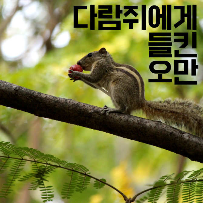 프리미엄 썸네일(작은) (4).png