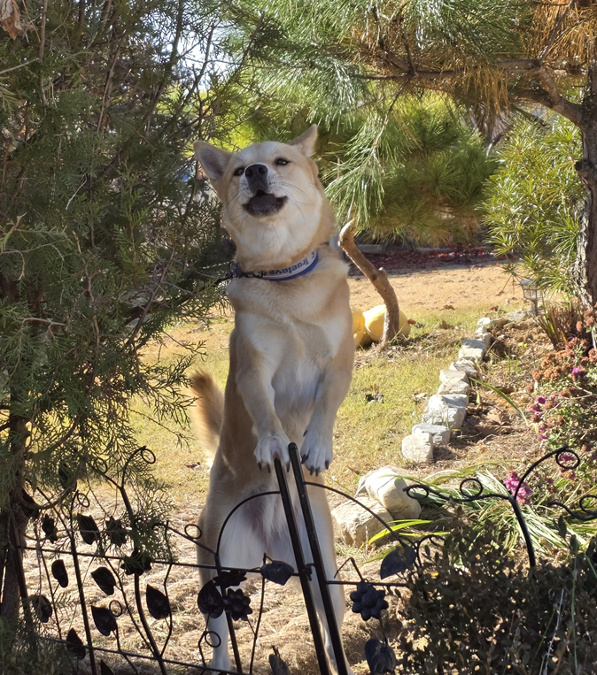 스크린샷 2025-11-12 140313.png