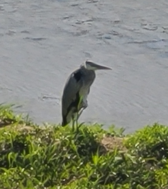 스크린샷 2025-11-20 093531.png