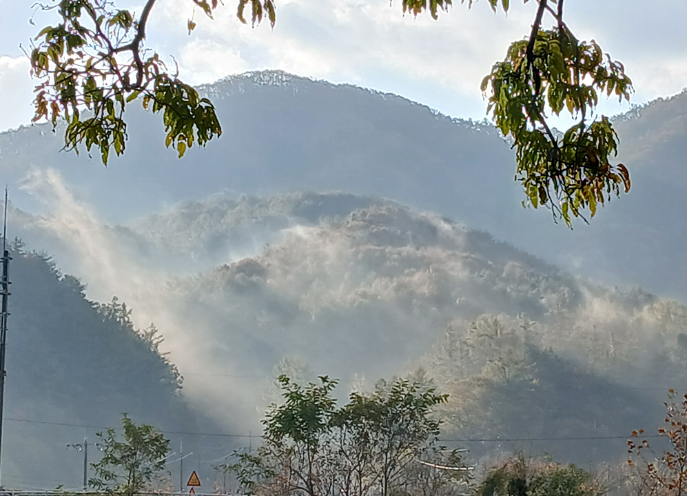 스크린샷 2025-11-06 113506.png