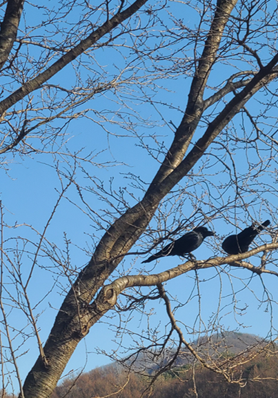 스크린샷 2025-12-10 185236.png