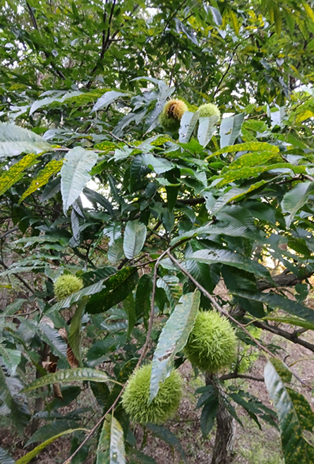 스크린샷 2025-09-14 122317.png