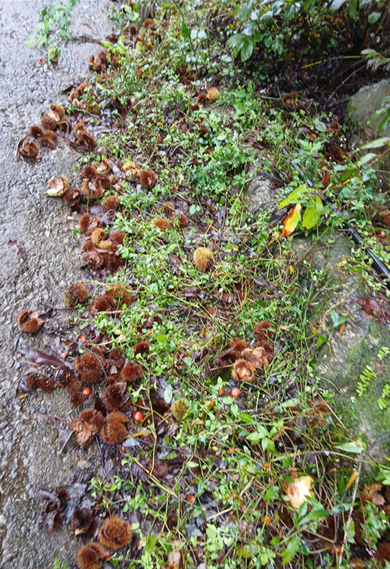 스크린샷 2025-09-25 105145.png