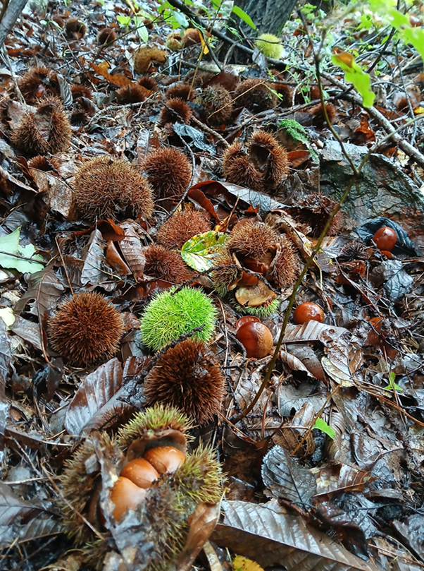 스크린샷 2025-09-25 105520.png